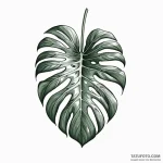 A monstera leaf — эскиз тату (№1749799094_0, 13.06.2025 07:18) — Tatufoto.com