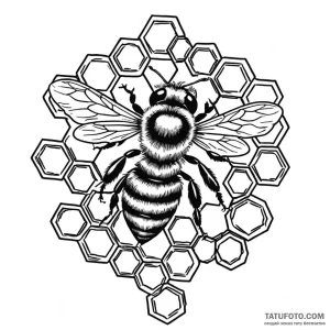 A bee on a honeycomb (is there, but can be cl... - эскиз тату (№1749799669_0, 13.06.2025 07:27) — Tatufoto.com