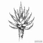 Aloe — эскиз тату (№1749806260_0, 13.06.2025 09:17) — Tatufoto.com