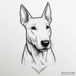 Bull terrier — эскиз тату (№1749809735_0, 13.06.2025 10:15) — Tatufoto.com