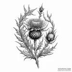 Thistle — эскиз тату (№1749842402_0, 13.06.2025 19:20) — Tatufoto.com