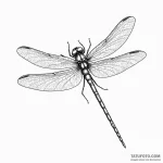 Dragonfly — эскиз тату (№1749903654_0, 14.06.2025 12:20) — Tatufoto.com