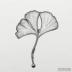 Ginkgo biloba leaf, symbolizing longevity and… — эскиз тату (№1750218641_0, 18.06.2025 03:50) — Tatufoto.com