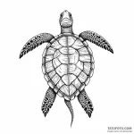 Turtle — эскиз тату (№1750352129_0, 19.06.2025 16:55) — Tatufoto.com