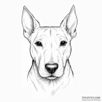 Bull terrier — эскиз тату (№1750468404_0, 21.06.2025 01:13) — Tatufoto.com