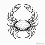 Cancer (animal/sign) — эскиз тату (№1750544293_1, 21.06.2025 22:18) — Tatufoto.com