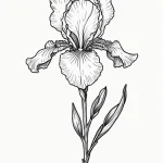Iris — эскиз тату (№1750693505_0, 23.06.2025 15:45) — Tatufoto.com