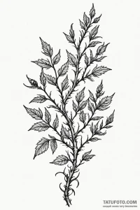 Tattoo design a thorny bush or bramble, symbo... - эскиз тату (№1750949098_1, 26.06.2025 14:44) — Tatufoto.com