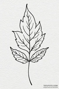 Tattoo design a single, delicate leaf with a... - эскиз тату (№1750962430_1, 26.06.2025 18:27) — Tatufoto.com