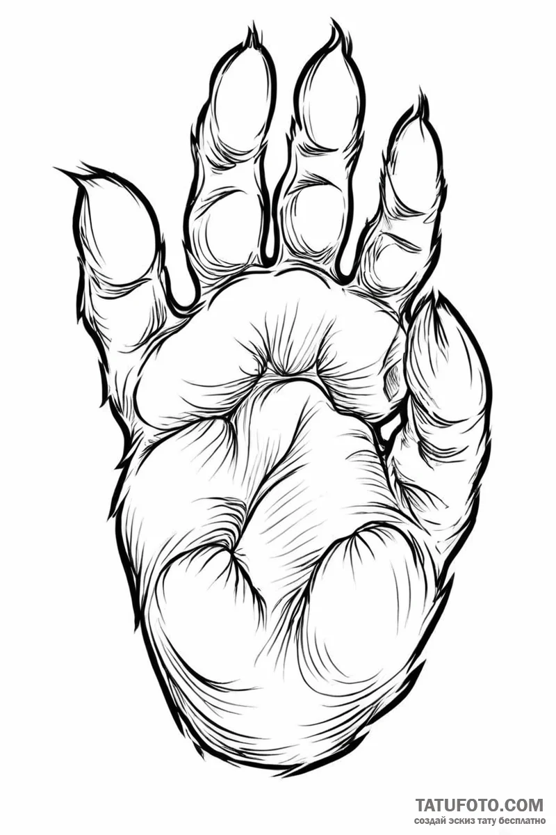 A close-up of a house cat's paw, showing the... - эскиз тату (№1750997812_0, 27.06.2025 04:16) — Tatufoto.com