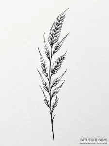 Tattoo sketch a simple, elegant wheat stalk,... - эскиз тату (№1751048133_0, 27.06.2025 18:15) — Tatufoto.com