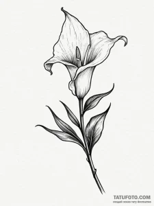 Tattoo sketch a single, elegant calla lily, s... - эскиз тату (№1751067227_0, 27.06.2025 23:33) — Tatufoto.com