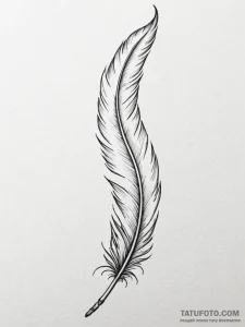 Tattoo design a detailed feather with every b... - эскиз тату (№1751073685_0, 28.06.2025 01:21) — Tatufoto.com