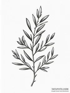 Tattoo sketch an olive branch symbolizing pea... - эскиз тату (№1751087956_0, 28.06.2025 05:19) — Tatufoto.com