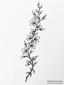 Tattoo design a delicate cherry blossom branc... - эскиз тату (№1751092213_0, 28.06.2025 06:30) — Tatufoto.com