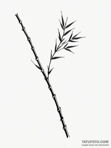 Tattoo sketch a bamboo stalk, bending but not... - эскиз тату (№1751123753_0, 28.06.2025 15:15) — Tatufoto.com