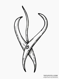 A wishbone - эскиз тату (№1751714745_0, 05.07.2025 11:25) — Tatufoto.com