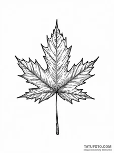 Maple leaf, artistic tattoo sketch, black out... - эскиз тату (№1751829712_0, 06.07.2025 19:21) — Tatufoto.com