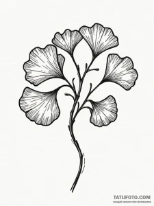 Ginkgo biloba leaf, symbolizing longevity and... - эскиз тату (№1751909259_0, 07.07.2025 17:27) — Tatufoto.com