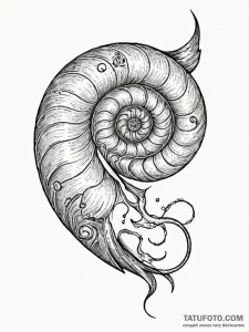 Nautilus shell cracked with runes, tattoo ske... - эскиз тату (№1751924108_0, 07.07.2025 21:35) — Tatufoto.com
