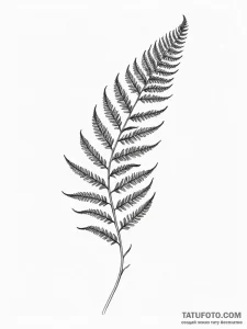 A fern frond unfurling - эскиз тату (№1751967346_0, 08.07.2025 09:35) — Tatufoto.com