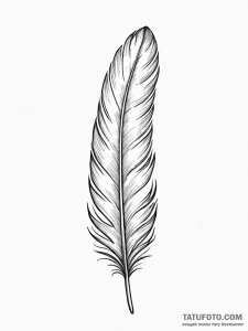 Feather - эскиз тату (№1751971887_0, 08.07.2025 10:51) — Tatufoto.com