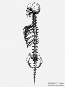 A realistic human spine, with some vertebrae... - эскиз тату (№1751984352_0, 08.07.2025 14:19) — Tatufoto.com