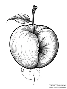 A realistic, juicy peach, a symbol of sensual... - эскиз тату (№1752011163_0, 08.07.2025 21:46) — Tatufoto.com