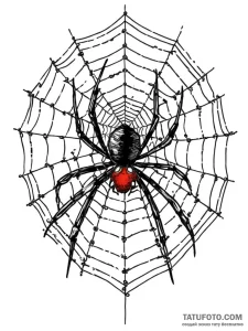 A spider, but its web is a complex stock mark... - эскиз тату (№1752013554_0, 08.07.2025 22:25) — Tatufoto.com