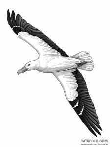 A powerful albatross, a bird known for its in... - эскиз тату (№1752054214_0, 09.07.2025 09:43) — Tatufoto.com