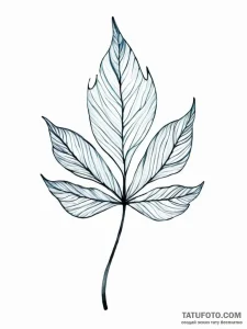 A single, abstract leaf, with watercolor vein... - эскиз тату (№1752054469_0, 09.07.2025 09:47) — Tatufoto.com