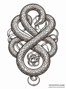A snake, its body forming a beautiful, intric... - эскиз тату (№1752059085_0, 09.07.2025 11:04) — Tatufoto.com