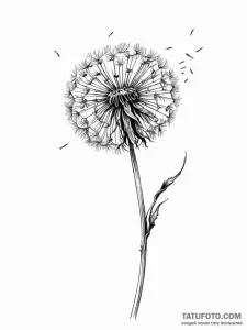 A single, wilting dandelion, its seeds being... - эскиз тату (№1752064094_0, 09.07.2025 12:28) — Tatufoto.com