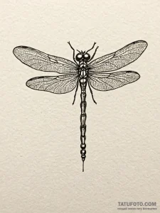 A delicate dragonfly, its wings are made of i... - эскиз тату (№1752082092_0, 09.07.2025 17:28) — Tatufoto.com