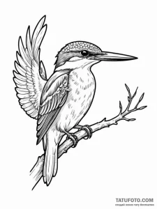A beautiful, but determined kingfisher, a mas... - эскиз тату (№1752092180_0, 09.07.2025 20:16) — Tatufoto.com