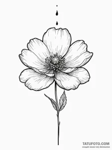 A phrase "not fragile like a flower, fragile... - эскиз тату (№1752121858_0, 10.07.2025 04:30) — Tatufoto.com