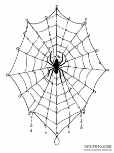 A beautiful, delicate pattern of spiderwebs a... - эскиз тату (№1752138473_0, 10.07.2025 09:07) — Tatufoto.com