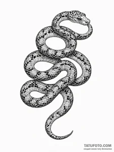 A snake, its scales have the pattern of a leo... - эскиз тату (№1752142512_0, 10.07.2025 10:15) — Tatufoto.com