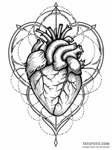 A human heart, wrapped tightly in barbed wire... - эскиз тату (№1752150645_0, 10.07.2025 12:30) — Tatufoto.com