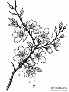 Branch of cherry blossoms with a single, perf... - эскиз тату (№1752215412_0, 11.07.2025 06:30) — Tatufoto.com