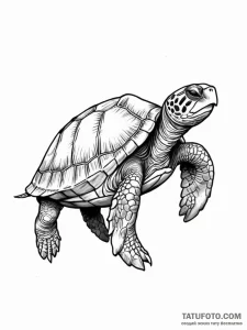 Turtle - эскиз тату (№1752282137_0, 12.07.2025 01:02) — Tatufoto.com