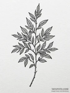 Rowan, tattoo line art, on a clean white pape... - эскиз тату (№1752290171_0, 12.07.2025 03:16) — Tatufoto.com