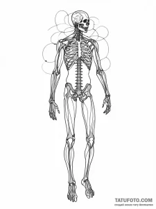 Tattoo sketch, x-ray of the soul, a stylized... - эскиз тату (№1752486242_0, 14.07.2025 09:44) — Tatufoto.com