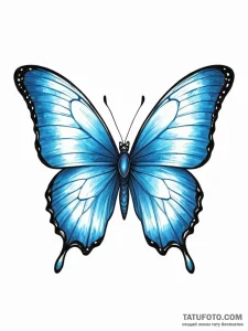 Tattoo sketch, morphing morpho butterfly, a v... - эскиз тату (№1752486745_0, 14.07.2025 09:52) — Tatufoto.com