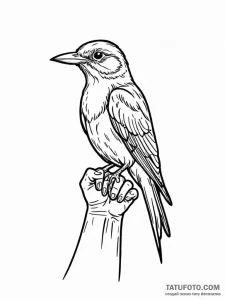 A whimsical bird perched on a finger, connect... - эскиз тату (№1752520468_0, 14.07.2025 19:14) — Tatufoto.com
