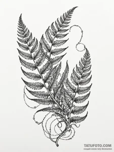 Unfurling fern, but the leaves are tiny, intr... - эскиз тату (№1752551071_0, 15.07.2025 03:44) — Tatufoto.com