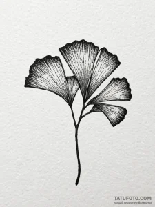 Ginkgo biloba leaf, symbolizing longevity and... - эскиз тату (№1752576833_0, 15.07.2025 10:53) — Tatufoto.com