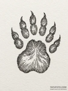 Cat's paws, concept art for tattoo, muted col... - эскиз тату (№1752729495_0, 17.07.2025 05:18) — Tatufoto.com