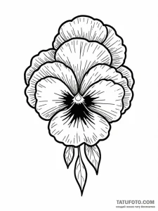 Pansy, tattoo drawing outline, on a clean whi... - эскиз тату (№1752788714_0, 17.07.2025 21:45) — Tatufoto.com