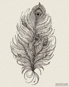 Peacock feather, ink illustration for tattoo,... - эскиз тату (№1753006875_0, 20.07.2025 10:21) — Tatufoto.com